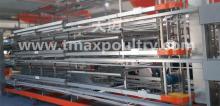 H Type Hen Chicken Equipment