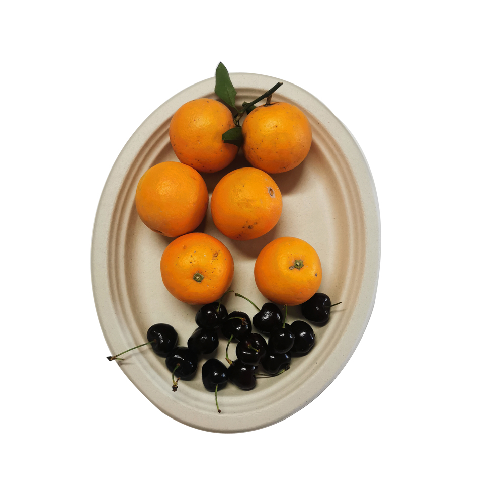 bagasse plates bagasse plates