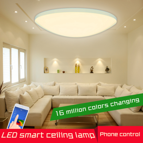 Hotel home smart ceiling light ceiling lamp RGBW Wifi restaurant smart RGB lamp