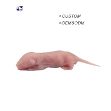 Frozen Mice and Fuzzy Rats for Reptile and Pet Bird Food