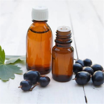 100% Pure Blackcurrant Seed Oil