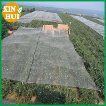 hail protection net ,fruit protection net ,vineyard hail protection net