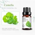 Pure Natural Difuser Aromaterapia Centella Oil Massage Oil