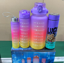 Frosted Motivational Water Bottle Set with Straw and Time Markers