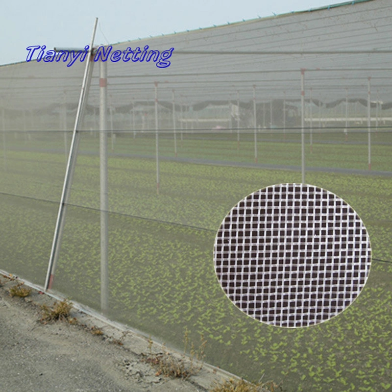HDPE 90GSM Transparent Color Anti Insect Net