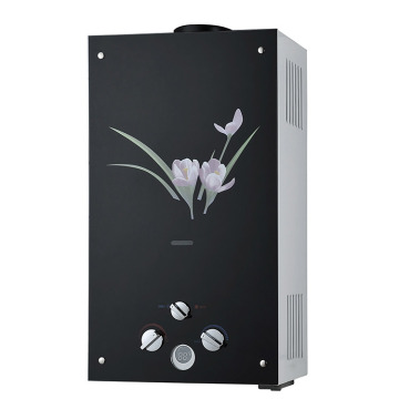 Tankless IPG Gas Water Heater