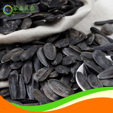 Biggest Size Sunflower Seeds