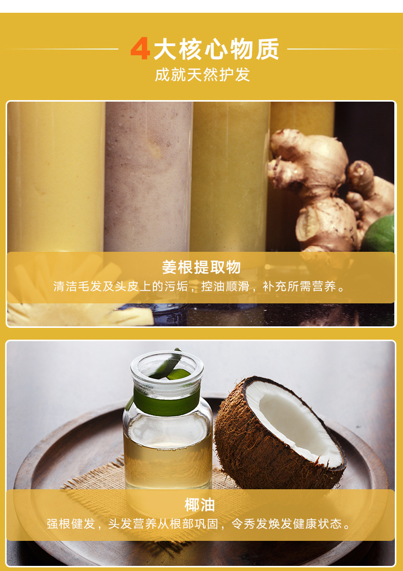 Hot seller 500ml Ginger Scalp Care Shampoo for Anti Hair Loss, Anti Dandruff Hair Regrowth,custom shampoo