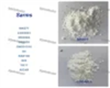 Strong Steroids Powder Hormo Chemical Powder and Oil