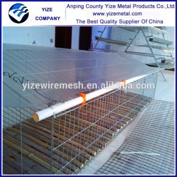 China factory wholesale rabbits live in alibaba