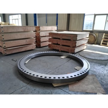 ASME B16.47 Duplex Stainless Steel Weld Neck Flanges