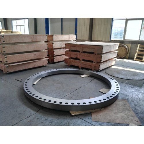 Flange a collo saldato duplex in acciaio inossidabile ASME B16.47