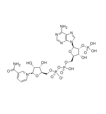 Nucleótido Trifosfopiridina de Alta Pureza CAS 53-59-8 En Stock