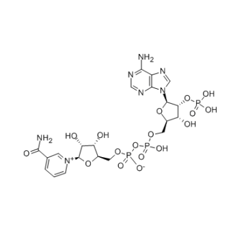 De alta calidad trifosfopiridina nucleótido 53-59-8 en venta