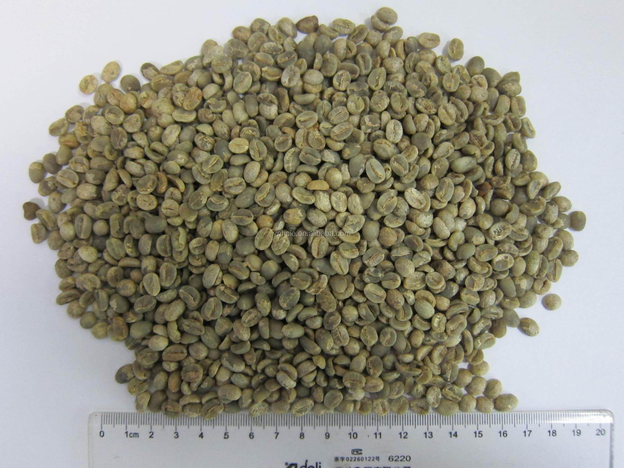 中国雲南アラビカ洗浄グリーンコーヒー豆、グレードA、画面15-16