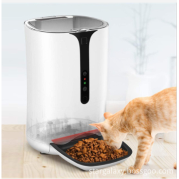 Video alimentatore intelligente per piccoli cani e gatti, alimentatore automatico per animali domestici