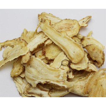 High Quality Chinese Angelica