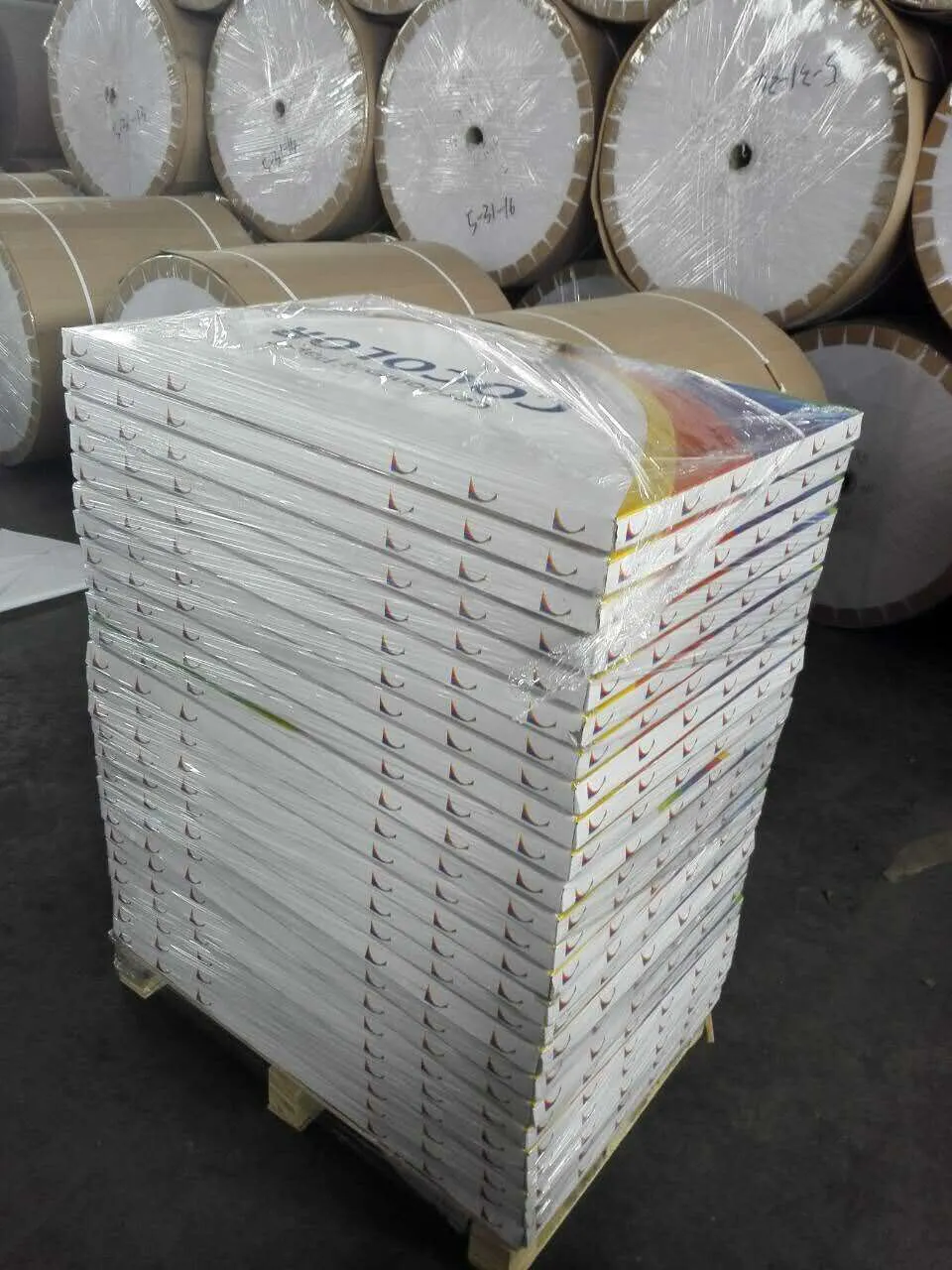 Wrapped with Plastic Film Carbonless Copy Paper
