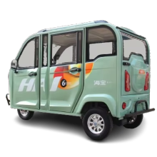 Factory Direct Electric Trikes: Affordable Dual-Purpose Passenger and Cargo Low-Speed Trikes