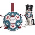 Giocattoli per cani palla da calcio pallone da calcio