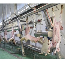 Halal Sheep and Goat Slaughter Equipment for Abattoir Plants