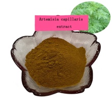 100% pure natural artemisia capillaris extract powder/oriental wormwood/herba artemisiae scopariae powder