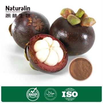 fruit extract powder Mangosteen Extract