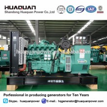 animals feeding fiji generator 100kva