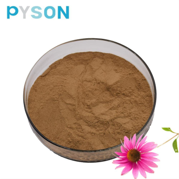 ขายร้อน Echinacea Purpurea Herb Extract Powder