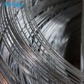 ลวดเหล็ก GI Electro Galvanized Wire