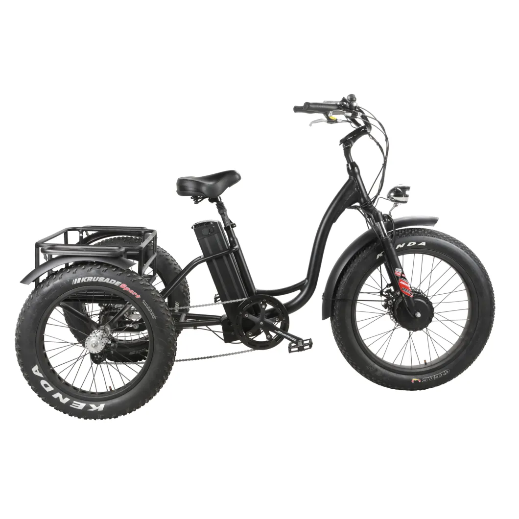 48V 500W/750W Fat Tire 3 Wheel Cargo Electric Tricycle