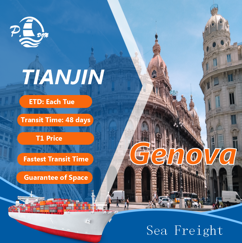 Sea Freight From Tianjin To Genova