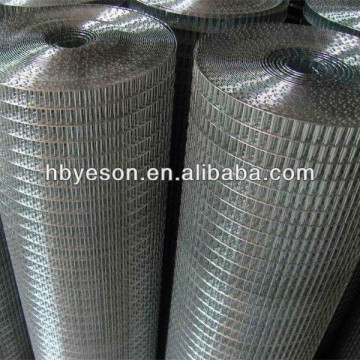 galvanized iron and ss welded mesh wire mesh fence