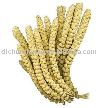 Organic yellow millet spray