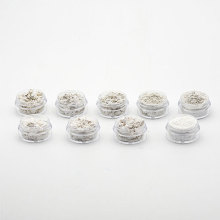 FORWARD 100 dust cosmetic permanent makeup pearl pigment