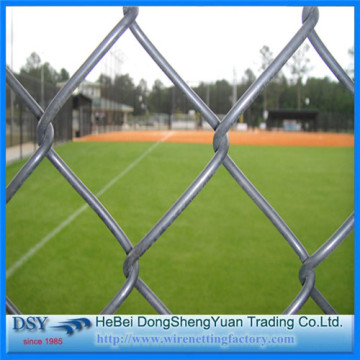 31 Years Golden Member Chain Link Fence