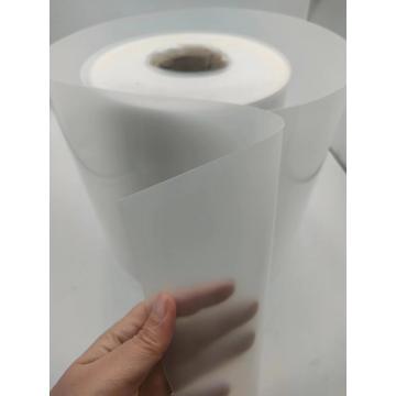 PP Plastic Sheet Polypropylene Roll for Thermoforming