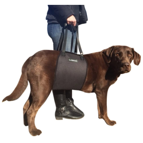 Adjustable Straps Support Dog Harness
