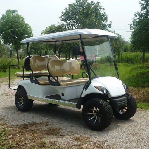 Gas Golf Cart dengan Off Road Tire