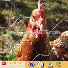 2015 Hot Sale Cheap chicken coop hexgonal wire mesh