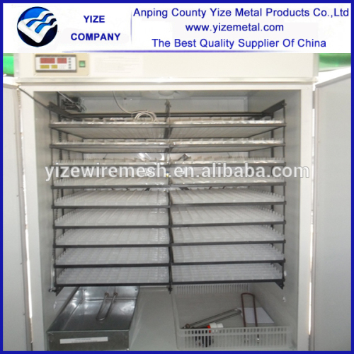 China New design popular WQ-3168 eggs incubator for hatching eggs