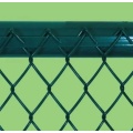 Galvanized Chain link fence