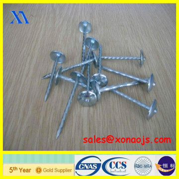 iron roofing nail/umbrella head galvanized roofing nail/smooth umbrella head roofing nail