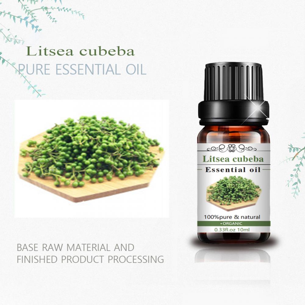 100% Pure and Natural Litsea Cubeba Essential Oil Skincare and Aroma Use