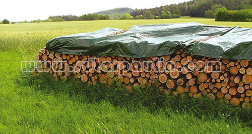 Lona de PE PE Tarpaulin