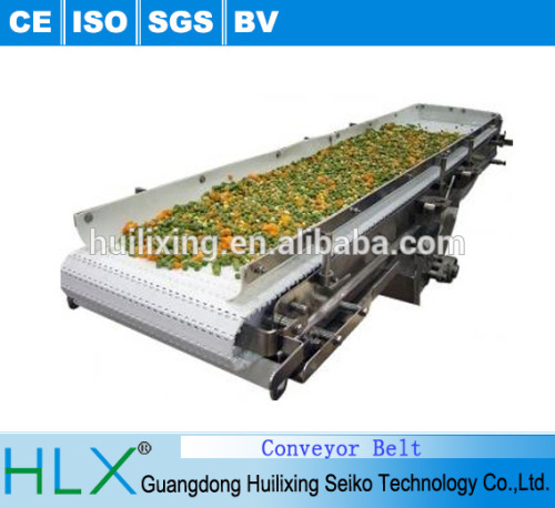 Variable Speed Motor Vegetable Belt Conveyor for Sale