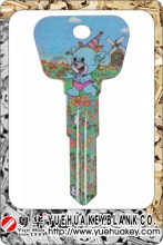 Color Painted Blank Key