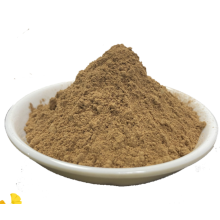 Herb Ginkgo Biloba Extract Powder With Special Price