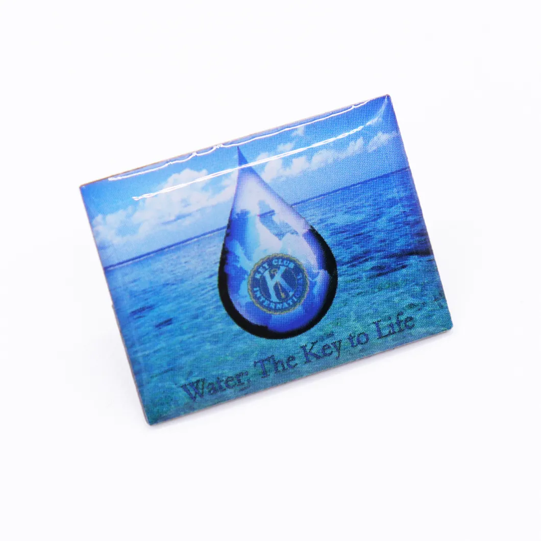 Eco-Friendly Style Competitive Price Metal Epoxy Lapel Pin Badge