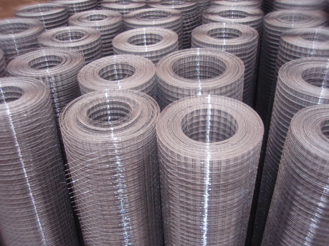 Galvanized Welded wire mesh